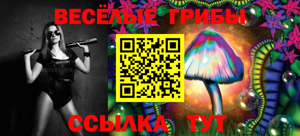 Псилоцибиновые грибы прущие грибы Рязань