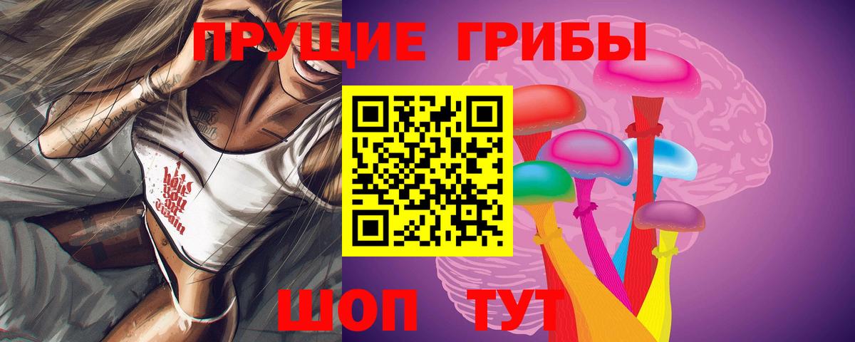 Рязань  Галлюциногенные грибы Cubensis  Вход с VPN 